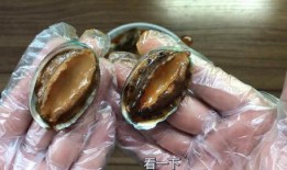 鲍鱼最新爆料图片,神秘图片揭示惊人内幕