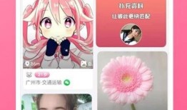 整装上阵最新爆料下载,揭秘幕后故事与精彩看点