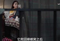 三姐姐爆料视频大全最新,揭秘娱乐圈不为人知的幕后故事