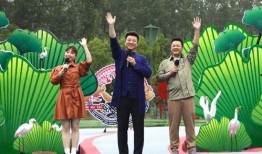 新乡都市爆料新闻视频最新,揭秘事件背后真相