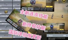 国际服的体验服最新爆料,揭秘神秘新内容与重大更新