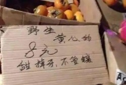 猕猴桃最新爆料文案怎么写,最新爆料带你领略果界新宠风采