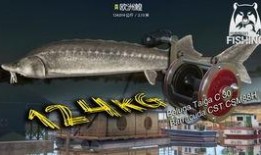 俄罗斯钓鱼4最新爆料视频,最新爆料视频深度解析