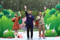 网红湾最新爆料新闻视频,最新爆料新闻视频幕后真相大起底
