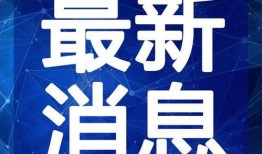 最新偷鱼爆料视频下载大全,揭秘水下捕鱼黑幕