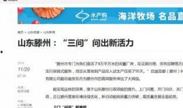 滕州最新爆料新闻报道网,聚焦热点事件，揭秘背后真相