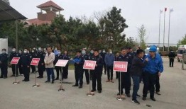 胶州最新爆料事件新闻,事件真相逐步浮出水面